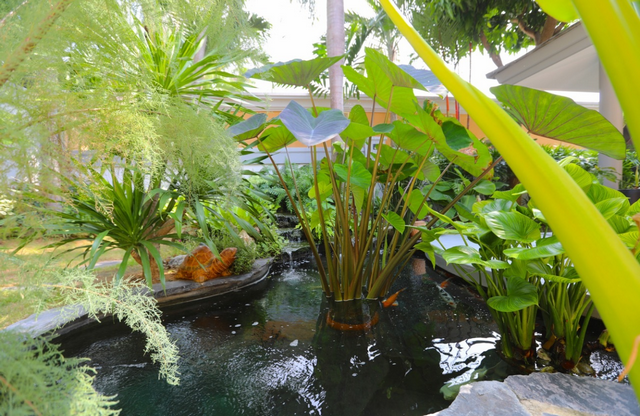 Pattaya-Realestate house for sale HS0002 Pattaya-Realestate house for sale HS0002